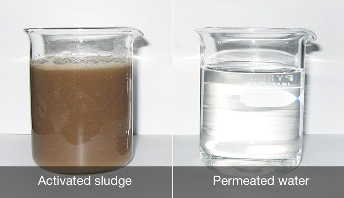 Activated Sludge of MBR ETP